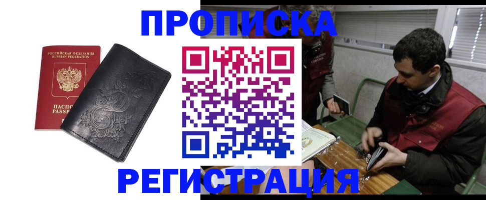 прописка поиск в Камышлове